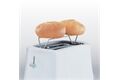 Cloer Toaster 331 Weiss