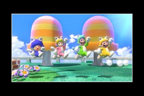 CD-Lieferant SWIT Super Mario 3D/Super Mario 3D Worl