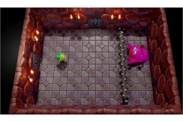 CD-Lieferant The Legend of Zelda: Links Awakening (Sw