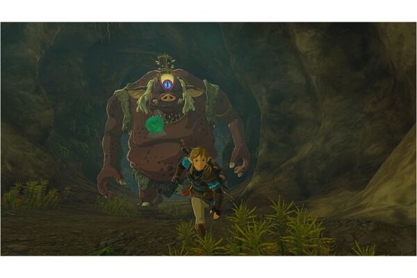 Nintendo The Legend of /The Legend of Zelda