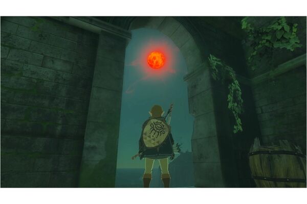 Nintendo The Legend of /The Legend of Zelda