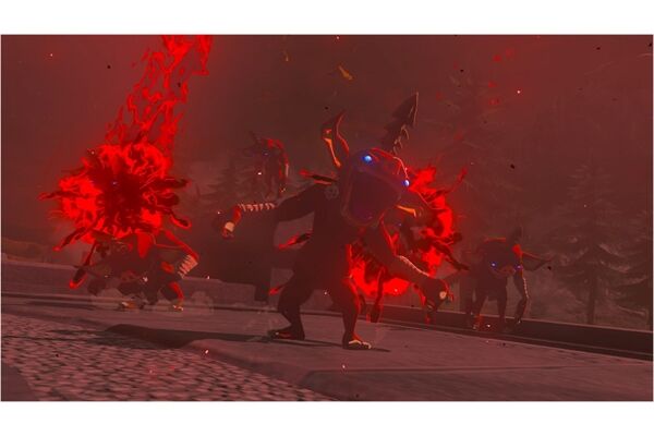 Nintendo The Legend of /The Legend of Zelda