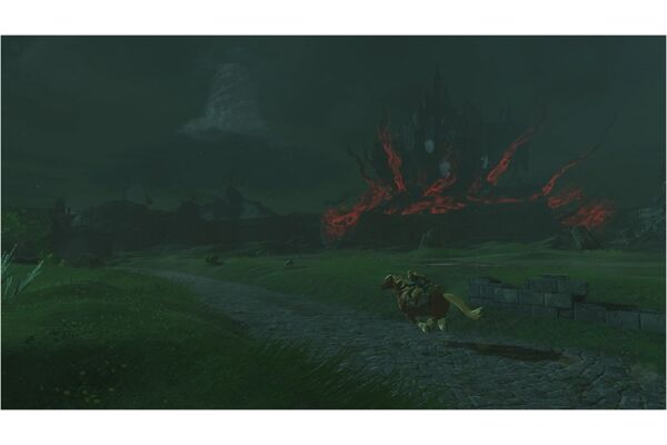 Nintendo The Legend of /The Legend of Zelda