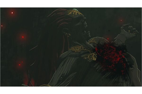 Nintendo The Legend of /The Legend of Zelda