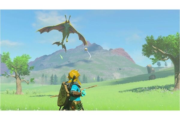 Nintendo The Legend of /The Legend of Zelda