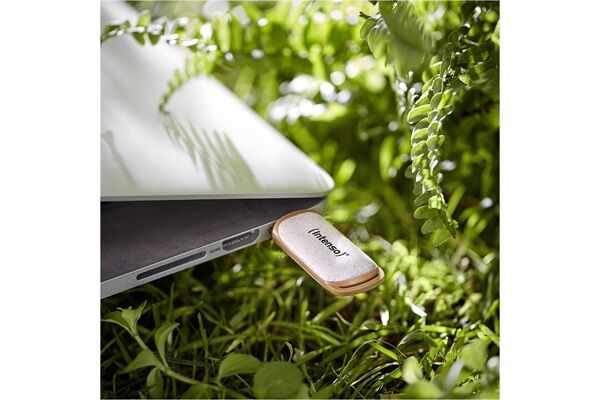 Intenso Green Line USB 3.2 Gen 1 (32GB)