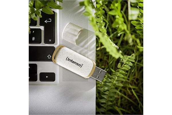 Intenso Green Line USB 3.2 Gen 1 (32GB)