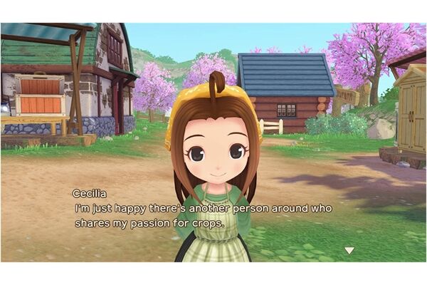 SOFTWAREPY SoS: A Wonderful Life