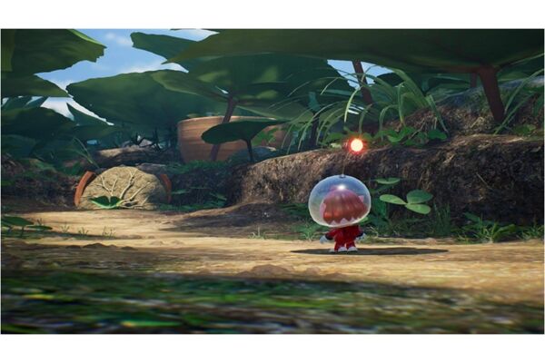  SWIT Pikmin 4/Pikmin 4