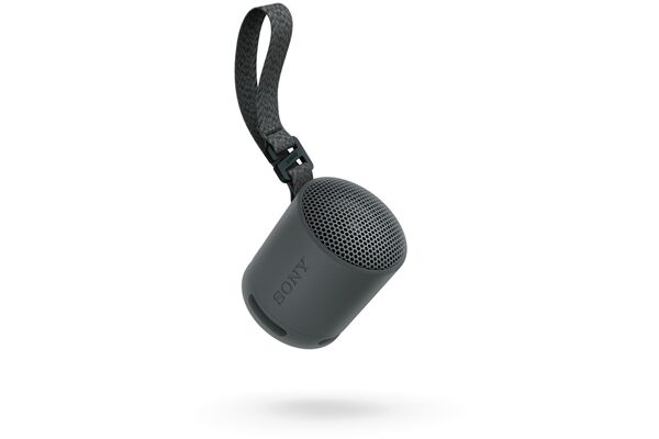 Sony SRS-XB100B