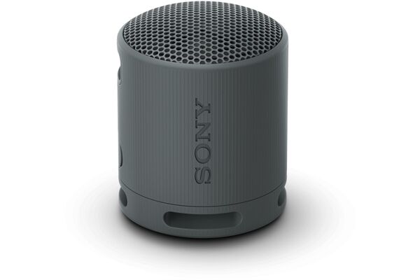 Sony SRS-XB100B