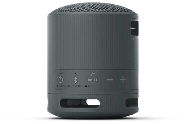 Sony SRS-XB100B