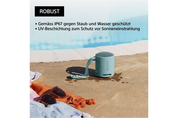 Sony SRS-XB100L