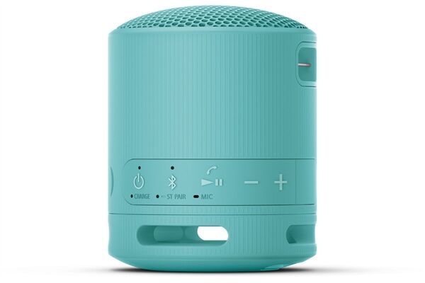 Sony SRS-XB100L
