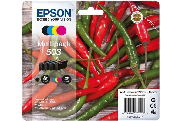 Epson 503 Multipack