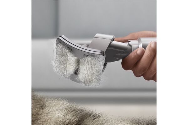 Dyson Haustierpflegeset