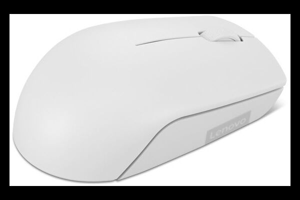 Lenovo 300
