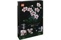 LEGO Icons Orchidee