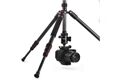 Hama Ramble II Duo Carbon
