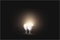 hue Wh. 5.7W Luster E14 2er Set