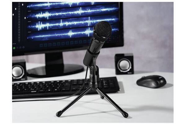 Hama MIC-P35 Allround