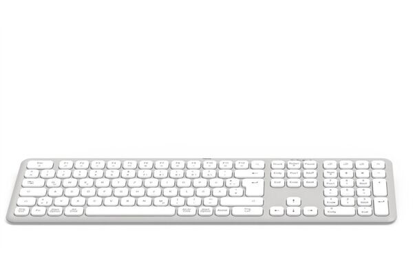 Hama WK-550 (DE)