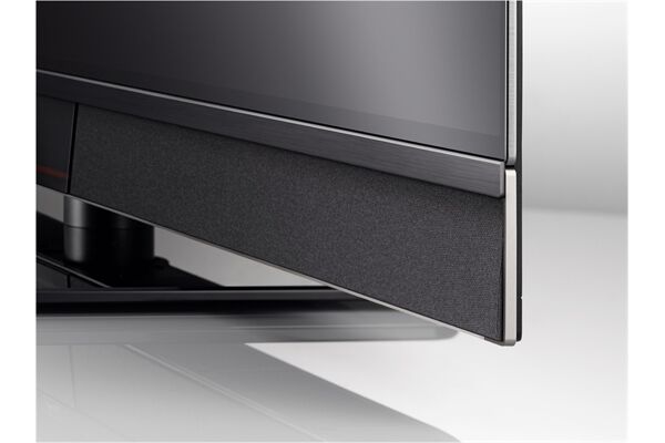 Metz Aurus 65FA63 OLED twin