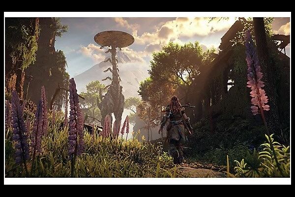  PS5 Horizon Zero Da/Horizon Zero Dawn R
