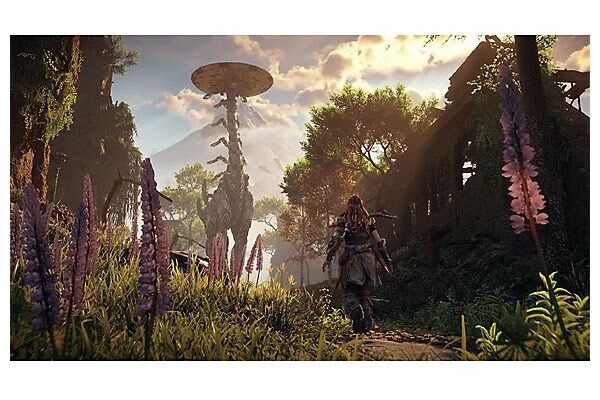  PS5 Horizon Zero Da/Horizon Zero Dawn R