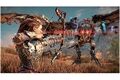  PS5 Horizon Zero Da/Horizon Zero Dawn R