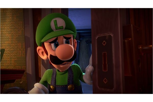 CD-Lieferant Luigis Mansion 3 (Switch)