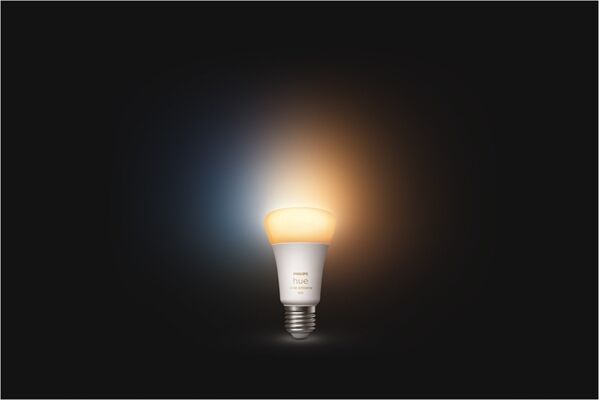 hue Wh. Amb. 13W A67 E27