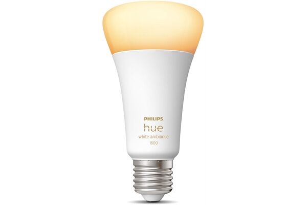 hue Wh. Amb. 13W A67 E27
