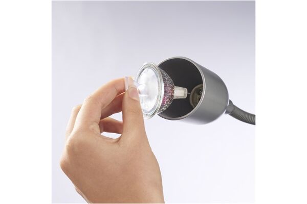 Xavax Saugnapf für Leuchtmittel