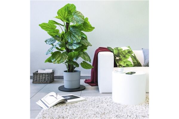 Hama Universal-Drehteller L