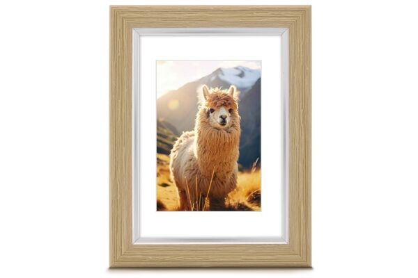 Hama Kunststoffrahmen Lima 13x18cm