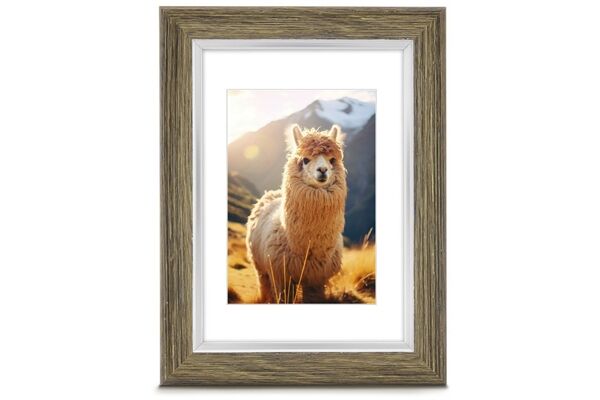 Hama Kunststoffrahmen Lima 30x40cm