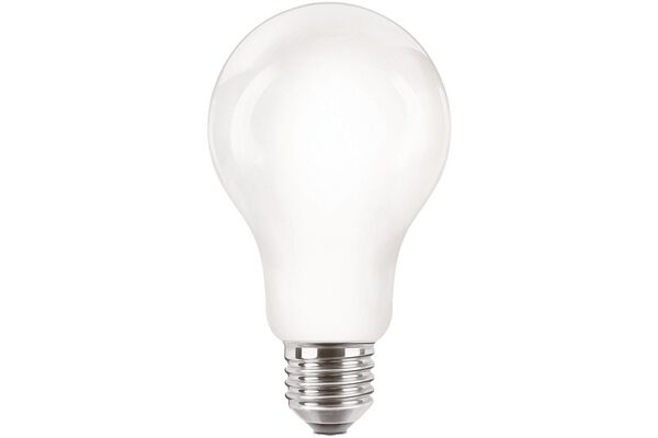 Philips LEDClassic 120W A67 E27 WW FR ND