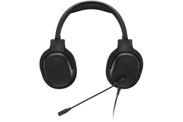 Lenovo H110