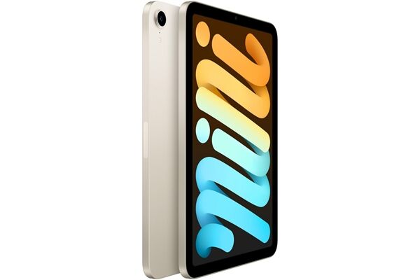 Apple iPad mini (64GB) WiFi