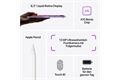 Apple iPad mini (64GB) WiFi