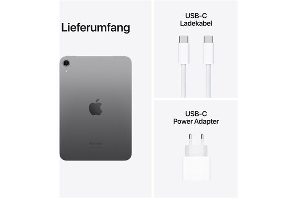 Apple iPad mini (256GB) WiFi space grau