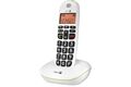 Doro PhoneEasy 100 W