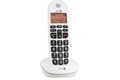 Doro PhoneEasy 100 W