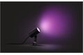 Philips Hue Lily LED 1flg. Spot Basis-Set