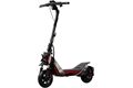 Ninebot by Segway eKickScooter ZT3 Pro D