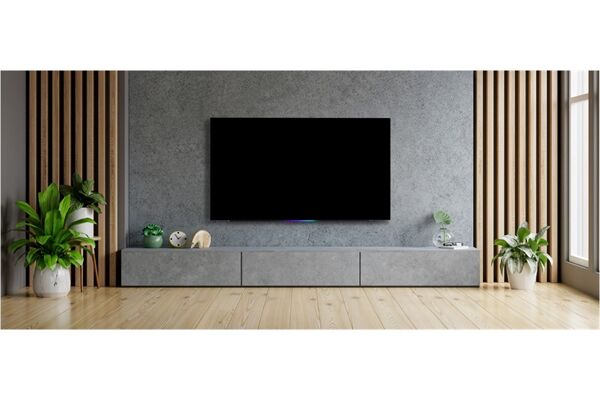 METZ blue 55MOD9001Y