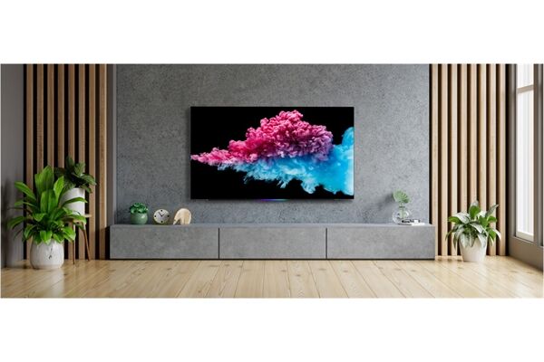 METZ blue 55MOD9001Y