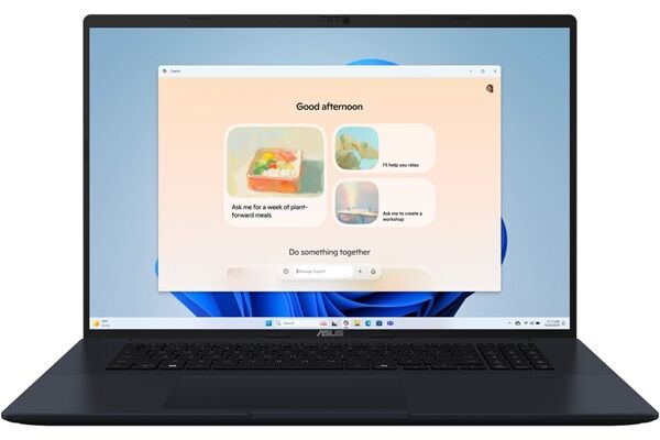 Asus Vivobook 18 M1807HA-S8065WS
