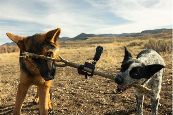 GoPro MAX 360